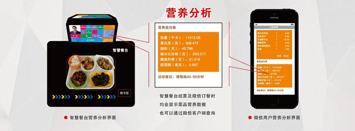营养分析